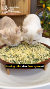 Catty Flossy - Chicken Catgrass -Freeze-Dried Kibbles Topper for Cats & Dogs | High Protein Relieves Hairball Boost Appetite | Penambah Selera Makanan Kucing & Anjing | Tinggi Protein Sokong Bulu & Kulit Sihat | Sesuai Semua Umur & Saiz [Pawmised Land]