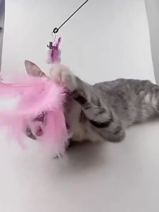 Cat Teaser Funny Stick Cat Wand Teaser Retractable Stick Plush with Soft Feather Small Bell Cat Toy  仙女逗猫棒 [50cm-96cm]