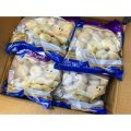 เต้าหู้ชีส 500 กรัม ใส่ชาบู หมูกะทะ ก๋วยเตี๋ยว ทานเล่น พร้อมส่ง เต้าหู้ 🧀 คละได้ทั้งร้าน. 