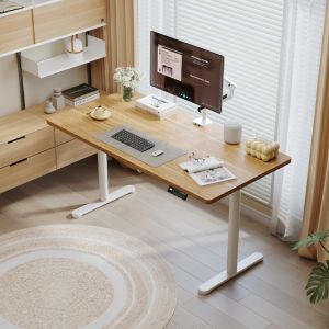 Loctek | Smart Electric Standing Desk