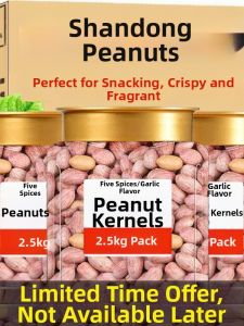 Five Spice Garlic Flavor Roasted Peanuts
