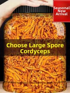 Sulfur Free Fresh Dry Cordyceps militaris