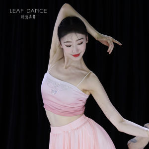 Elegant Gradient Classical Dance Skirt Flowing Long Dress Training Uniform for Women Online Exclusive Brand Ye Luo Qing Wu