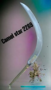 egrek camel star 2288