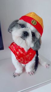 Dogydolly ชุดจีนหมาแมว แบบเสื้อและกระโปรงกี่เผ้า ผ้าจีนอย่างดี  ชุดกี่เพ้าสุนัข ชุดตรุษจีนลายมังกร สีทองและแดง