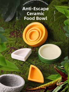 Ceramic Pet Basin for Climbing Animals Crab Bathing Basin Landscape Design Escape Proof Food Bowl Reptile Supplies
