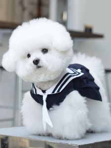 Summer Dress Navy Style Vest for Dogs Yorkie Maltese Pomeranian Teddy Bichon Puppy Clothes Pet Fashion Dog Clothing Accessories