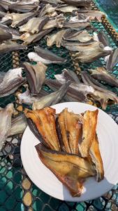 1kg Khô cá lóc cửng lóc non Cao Cấp Số 1 Nhiều Nắng ( Tặng Kèm Mắm Tắc Chua Cay) Thịt ngọt Chắc Thơm ngon