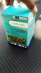 โซตัส เวอริมาร์ค ขนาด 100 ซีซี คลุกเมล็ดข้าวโพดกันหนอน ราดในกระบะเพาะ ป้องกันหนอนกระทู้ข้าวโพด เพลี้ยไฟ แมลงหวี่ขาว กันได้นาน 14-21 วัน