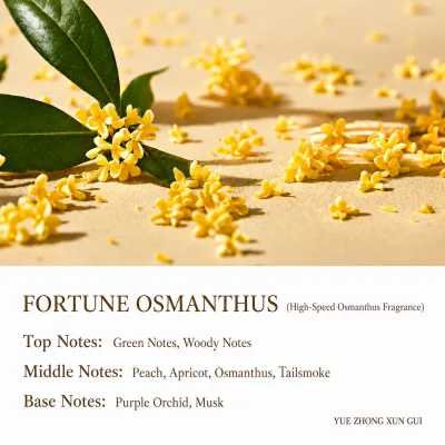 【SongChao】Osmanthus Reed Diffuser Elegant Home Fragrance Glass Bottle for Bedroom Living Room Office