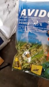 AVIDOR 100 GR INSEKTISIDA TANAMAN.