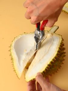 คีมปอกทุเรียน ปอกง่าย ปอกไว วัสดุอย่างดี แข็งแรง ทนทาน