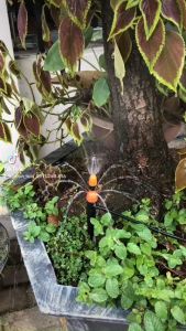 Đầu tưới nhỏ giọt 8 tia kết hợp phun sương điều chỉnh được lưu lượng nước