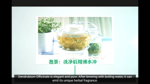 Dendrobium Officinale Fengdou (Premium Grade) / 铁皮石斛枫斗 (优级)