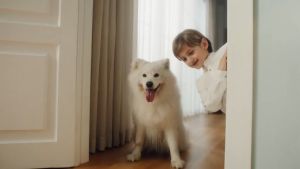 Yeedi Vac 2 Pro Robot Vacuum and Mop Combo