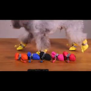 4Pcs Dog Rain Boots for Shih Tzu teddy corgi Bichon Frise outdoor Anti Slip Waterproof Dog Shoes
