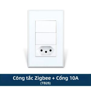 ZEMISMART | Zemismart Zigbee 2-Gang Wall Switch Ổ Cắm Thông Minh 10A Brazil Tương Thích Với Ứng Dụng Tuya Alexa Google Home