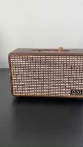 Loa Bluetooth Qixi SK-2025. Âm Thanh Hay Siêu Đỉnh Tích Hợp Cổng Micro 6.5 Karaoke Micro Không Dây. Loa Bluetooth SK2025