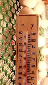 wall-mounted thermometer with degrees Celsius indoor and outdoor garden house garage office