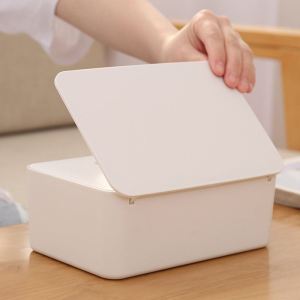 WALKING LU | Desktop Tissue Mask Storage Box