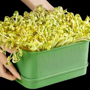 Household Sprouting Plastic Planting Pot / Bean Sprouts Seedling Tray / Garden Soilless Cultivation Seedling Pot
