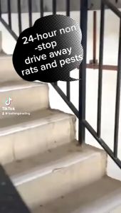 Rat Killer Rat Repellant for Home Rat repellent Gel Mouse Repellent Mothballs for Rats Roison Killer