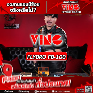 Ving Flybro FB-100 สมาร์ทแอมป์ Ving FB100 Smart Amplifier - เต่าแดง