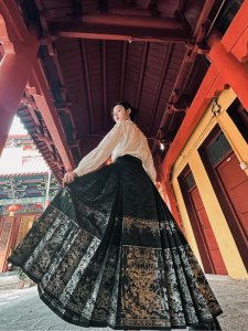 Original New Chinese Style Six-fold Pleated Rainbow Woven Silver Deer Spirit Horse Face Skirt Set Daily Ming Dynasty Hanfu Womens 2025 New