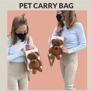 Pet bag with large capacity cute bag with outings and can be exposed bear plush cat bag shoulder bag small dog handbag