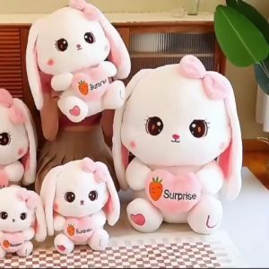 Gấu Bông Thỏ Ôm Trái Tim Thỏ Trắng Tai Dài size 80cm siêu to
