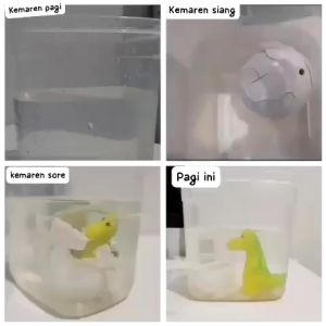 TELUR DINOSAURUS HATCH AND GROW Mainan Anak Dinosaurus Bertelur //mainan murah /mainan anak cowok/mainan telur dino