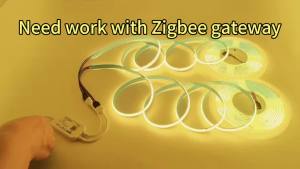 5M 10M 24V Zigbee3.0 RGB COB LED Strip Light Tape 840leds/m Flexible LED String Light Home Decor Tuya Zigbee APP Fr Alexa Google