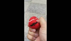 Dog Squeaky Tennis Balls forPlaying in 3 Sizes Premium Strong Dog & Puppy Balls for Training Play Exercise The Easiest Color for Dogs Red Yellow Blue (Small-12pack)