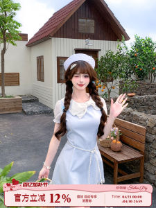 Sweet Blue Rose Bow Dress