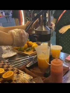 Commercial Grade Press: A Comprehensive Guide to High-Quality Vortex & Heavy-Duty Fruit Presses