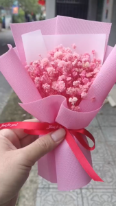 bó hoa baby khô mini mix nhiều màu quà tặng 14/2 8/3