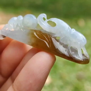 Strive for the top with this Beetle and Ant crafted using Burmese Natural Type A Jadeite Jade Jewellery as Pendant with QIC labs approved certificate weighs 9.49 grams measurement 43.8 * 15.3 * 8.8 mm (pendant317)