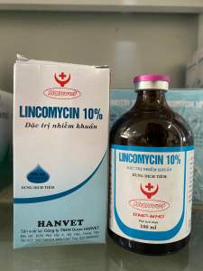 LINCOMYCIN 10% 100ml hanvet dung dịch tiêm viêm khớp viêm da tụ huyết trùng ho tiêu chảy trên lợn gà trâu bò dê cừu