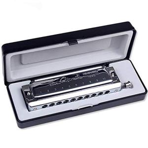 Đàn Harmonica Chromatic Chuyên Nghiệp C Key 10 Lỗ 40 Âm Sắc Có Thể Thay Đổi Nhạc Cụ Dành Cho Người Mới Bắt Đầu Người Lớn Trẻ Em
