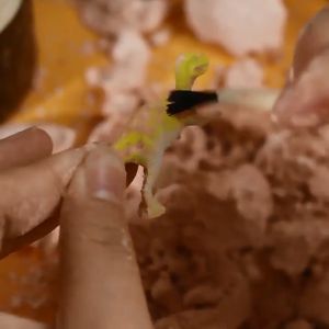 Đồ chơi trứng khảo cổ khủng long thời tiền sử cho bé (1505TKC)