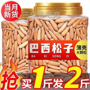 Pine Nuts Large Kernel New Crop 500g