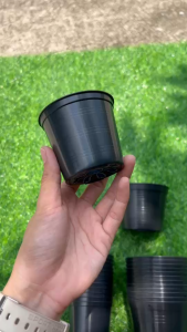 ชุด 12 ใบ/กระถางต้นไม้พลาสติก กระถางต้นไม้กลมดำ ราคาถูก 3 นิ้วเเละ 4 นิ้ว