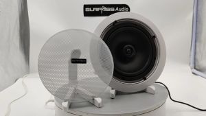 6.5 inch Ceiling Speaker Coaxial Bluetooth Loudspeaker Build-in Class D HiFi Stereo Amplifier Powerful 30W Audio Speaker Public Address System Single Piece