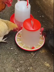 1.5 Kg Hanging Automatic Chicken Feeder and Drinker Plastic Chicken Feeder Bowl Poultry Breeding Water Food Feeder Dispenser