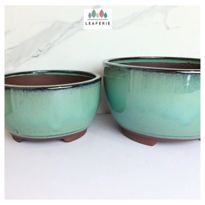 The Leaferie Bonsai (Series 88) plant Ceramic flowerpot flowerpots flower pot planter planters
