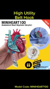 MINIHEART100 Cute Anatomical Heart Keychain for Car Keys House Keys Acrylic Colorful Nurse & Doctor Design Retractable Badge Reel Medical Staff Charm Unique Valentines Day/New Year Gift For Healthcare Professionals Bag Accessory With Clip