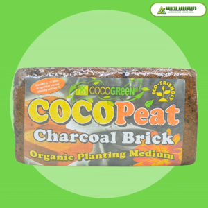 HIGH QUALITY COCO PEAT  CHARCOAL BRICK (1PC)