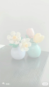 Rose flower bouquet of eternal flowers potted plants succulent series building block toys