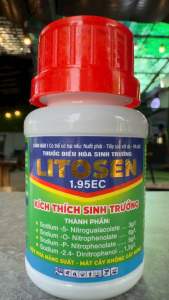 LITOSEN 1.95EC 100ML Kích phát mầm hoa mầm hạt. Kích thích đồng bộ: Rễ mầm chồi lá non tăng sức sống kháng nấm khuẩn và các loại bệnh trên cây trồng.