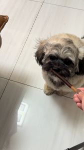 60g Natura Nourish POCKISS Dog Stick Treats